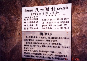 u摺vPn